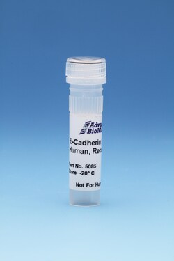 Advanced Biomatrix E-Cadherin Human 0.1 MG | Buy Online | Advanced Biomatrix | Fisher Scientific