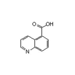 Accela Chembio Inc&nbsp;Quinoline-5-carboxylic Acid |  1g |  7250-53-5 |  MFCD00047608 |  95+% |  Shelf Life: 1440 Days |  Regular
