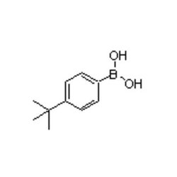 Accela Chembio Inc 4-tert-butylphenylboronic Acid |  100g |  123324-71-0 |  MFCD01009697 |  97+% |  Shelf Life: 900 Days |  +4