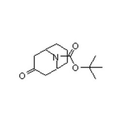 Accela Chembio Inc N-boc-9-azabicyclo[3.3.1]nonan-3-one | 1g | 512822-27-4
