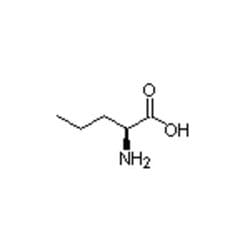 Accela Chembio Inc L-norvaline | 100g | 6600-40-4 | MFCD00064421 | 97+%