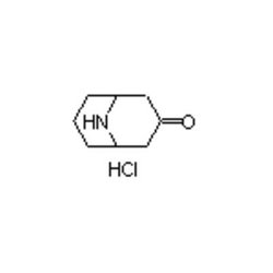 Accela Chembio Inc 9-azabicyclo[3.3.1]nonan-3-one Hydrochloride | 1g |