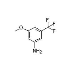Accela Chembio Inc 3-methoxy-5-(trifluoromethyl)aniline | 25g | 349-55-3