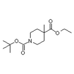 Accela Chembio Inc Ethyl N-boc-4-methylpiperidine-4-carboxylate | 25g |