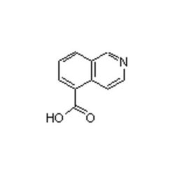 Accela Chembio Inc Isoquinoline-5-carboxylic Acid | 1g | 27810-64-6 | MFCD03788744