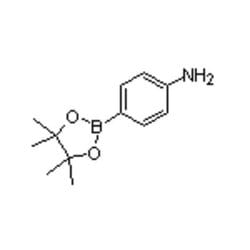 Accela Chembio Inc 4-AMINOPHENYLBORONIC ACID PINACOL ESTER | 25G | 214360-73-3