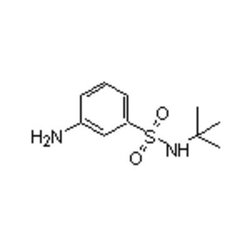 Accela Chembio Inc N-tert-butyl 3-aminophenylsulfonamide | 1g | 608523-94-0