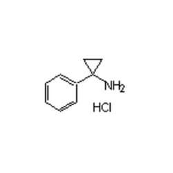 Accela Chembio Inc 1-phenylcyclopropanamine Hydrochloride | 5g | 73930-39-9
