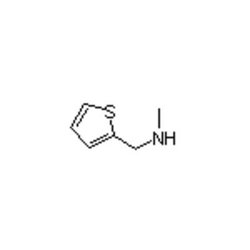 Accela Chembio Inc N-methyl-(2-thienylmethyl)amine | 1g | 58255-18-8 |