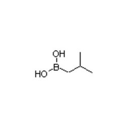 Accela Chembio Inc Isobutylboronic Acid | 5g | 84110-40-7 | MFCD00134156