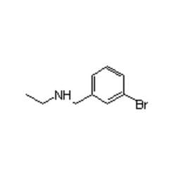Accela Chembio Inc N-ethyl-3-bromobenzylamine | 25g | 90389-91-6 | MFCD07405019