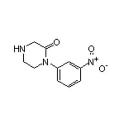 Accela Chembio Inc 1-(3-nitrophenyl)piperazin-2-one | 1g | 215649-84-6