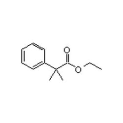 Accela Chembio Inc Ethyl 2-methyl-2-phenylpropanoate | 1g | 2901-13-5 |