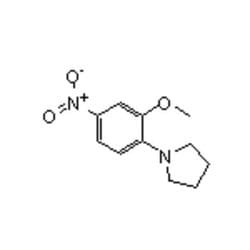 Accela Chembio Inc 1-(2-methoxy-4-nitrophenyl)pyrrolidine | 1g | 67828-57-3