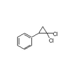 Accela Chembio Inc (2 | 2-dichlorocyclopropyl)benzene | 100g | 2415-80-7