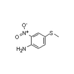 Accela Chembio Inc 4-(methylsulfanyl)-2-nitroaniline | 1g | 23153-09-5