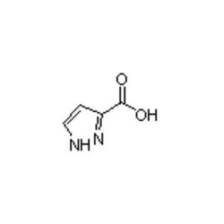 Accela Chembio Inc Pyrazole-3-carboxylic Acid | 5g | 1621-91-6 | MFCD00077436