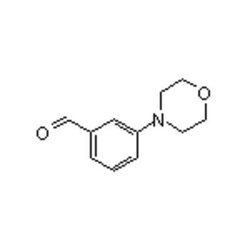 Accela Chembio Inc&nbsp;3-morpholinobenzaldehyde |  5g |  446866-87-1 |  MFCD07772811 |  97+% |  Shelf Life: 2160 Days |  Light Sensitive/n2/+4