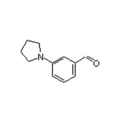 Accela Chembio Inc 3-(1-pyrrolidinyl)benzaldehyde | 1g | 857283-89-7 |