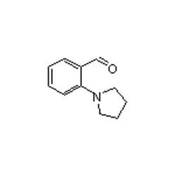Accela Chembio Inc 2-(1-pyrrolidinyl)benzaldehyde | 1g | 58028-74-3 | MFCD03419322