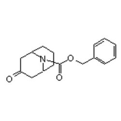 Accela Chembio Inc N-cbz-9-azabicyclo[3.3.1]nonan-3-one | 1g | 146747-65-1