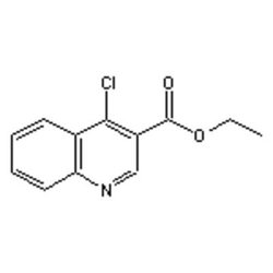 Accela Chembio Inc Ethyl 4-chloroquinoline-3-carboxylate | 1g | 13720-94-0