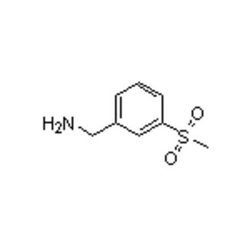 Accela Chembio Inc 3-(methylsulfonyl)benzylamine | 5g | 771573-22-9 | MFCD06213658