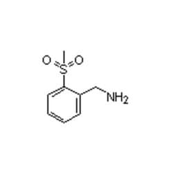 Accela Chembio Inc 2-(methylsulfonyl)benzylamine | 5g | 410545-65-2 | MFCD08234913