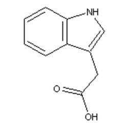 Accela Chembio Inc 3-indoleacetic Acid |  100g |  87-51-4 |  MFCD00005636 |  98% |  Shelf Life: 1620 Days |  Light Sensitive/+4