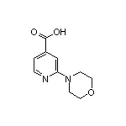 Accela Chembio Inc 2-morpholinoisonicotinic Acid | 5g | 295349-64-3 | MFCD03411666