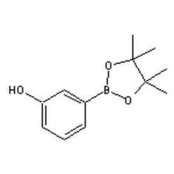 Accela Chembio Inc 3-hydroxyphenylboronic Acid Pinacol Ester | 5g | 214360-76-6