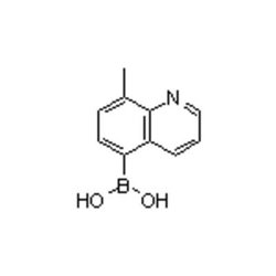 Accela Chembio Inc 8-methyl-5-quinolineboronic Acid | 5g | 1025010-58-5