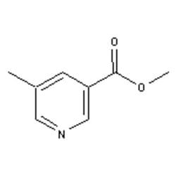 Accela Chembio Inc Methyl 5-methylnicotinate | 5g | 29681-45-6 | MFCD01075739