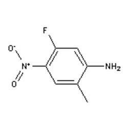 Accela Chembio Inc 5-fluoro-2-methyl-4-nitroaniline | 1g | 633327-50-1