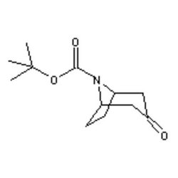 Accela Chembio Inc N-boc-4-nortropinone | 25g | 185099-67-6 | MFCD00673779