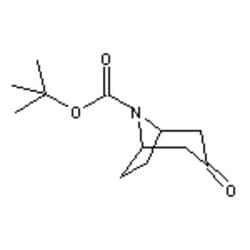 Accela Chembio Inc N-boc-4-nortropinone | 5g | 185099-67-6 | MFCD00673779