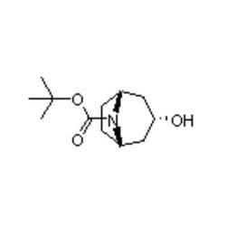 Accela Chembio Inc N-boc-nortropine | 25g | 143557-91-9 | MFCD09966165