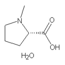 Accela Chembio Inc N-methyl-l-proline Monohydrate | 5g | 199917-42-5 |