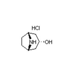 Accela Chembio Inc Nortropine Hydrochloride | 100g | 14383-51-8 | MFCD01711246