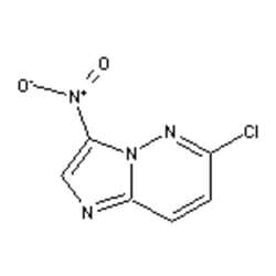 Accela Chembio Inc 6-chloro-3-nitro-imidazo[1 | 2-b]pyridazine | 1g | 18087-76-8