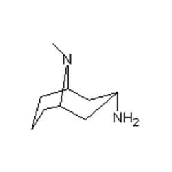 Accela Chembio Inc Exo-3-amino-9-methyl-9-azabicyclo[3 | 3 | 1]nonane |