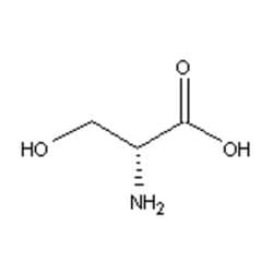 Accela Chembio Inc D-serine | 100g | 312-84-5 | MFCD00004269 | 95+% | Shelf