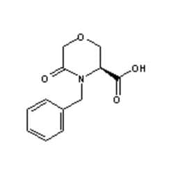 Accela Chembio Inc (s)-4-benzyl-5-oxomorpholine-3-carboxylic Acid | 1g