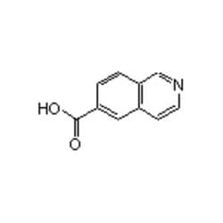 Accela Chembio Inc 6-isoquinolinecarboxylic Acid | 1g | 106778-43-2 | MFCD09910323
