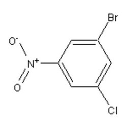 Accela Chembio Inc 1-bromo-3-chloro-5-nitrobenzene | 1g | 219817-43-3 |