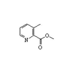 Accela Chembio Inc Methyl 3-methylpyridine-2-carboxylate | 25g | 59718-84-2