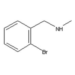 Accela Chembio Inc N-methyl-2-bromobenzylamine | 25g | 698-19-1 | MFCD05262953