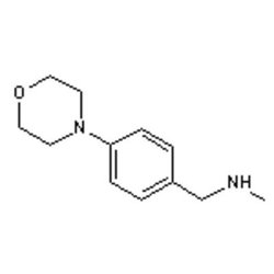 Accela Chembio Inc N-methyl-4-(4-morpholinyl)benzylamine | 1g | 179328-22-4