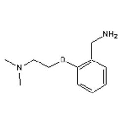 Accela Chembio Inc 2-[2-(dimethylamino)ethoxy]benzylamine | 1g | 91215-97-3
