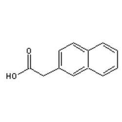 Accela Chembio Inc 2-naphthaleneacetic Acid | 100g | 581-96-4 | MFCD00004126